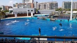 Oceanografíc - JPEG - 42.3 ko - 640×360 px