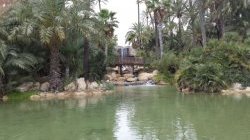 La palmeraie l'Alicante - JPEG - 36.8 ko - 640×360 px