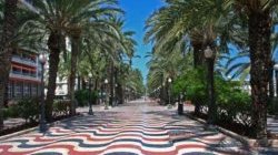 Esplanade à Alicante - JPEG - 48.5 ko - 650×433 px
